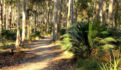 Square Head Track 2 - Accommodation Sunshine Coast 0