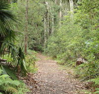 Lake walking track - Accommodation Sunshine Coast