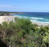 South Pacific Heathland Reserve - Accommodation Sunshine Coast