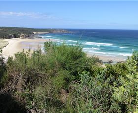 South Pacific Heathland Reserve - Accommodation Sunshine Coast 0