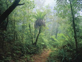 Wagawn - Accommodation Sunshine Coast 0