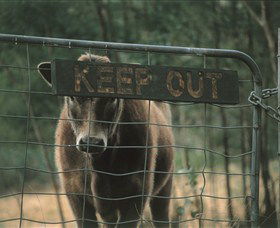 Old Nerrigundah Settlement Trail - Accommodation Sunshine Coast 1