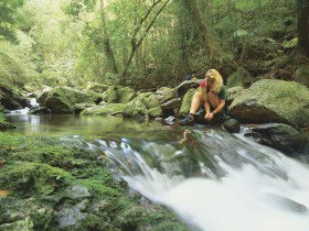 Lower Ballanjui Falls - Accommodation Sunshine Coast 0