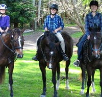 Kings Creek Saddle Club - Accommodation Sunshine Coast