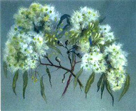 Norma Holt Studio Gallery - Accommodation Sunshine Coast 1