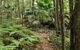 Durras Lake Discovery Trail - thumb 0
