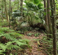 Durras Lake Discovery trail - Accommodation Sunshine Coast