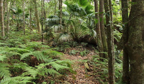 Durras Lake Discovery Trail - Accommodation Sunshine Coast 0