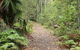 Durras Lake Discovery Trail - thumb 1