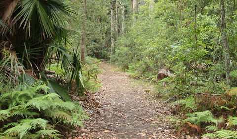 Durras Lake Discovery Trail - Accommodation Sunshine Coast 1