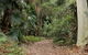 Durras Lake Discovery Trail - thumb 2