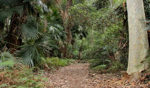 Durras Lake Discovery Trail - Accommodation Sunshine Coast 2