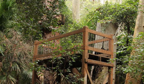 Durras Lake Discovery Trail - Accommodation Sunshine Coast 3
