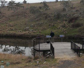 Bombala Platypus Reserve - Accommodation Sunshine Coast 0