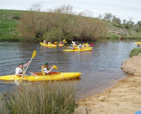 Bombala Platypus Reserve - Accommodation Sunshine Coast 1