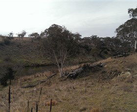 Bombala Platypus Reserve - Accommodation Sunshine Coast 3