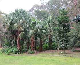 Booderee National Park Botanic Gardens - Accommodation Sunshine Coast 4