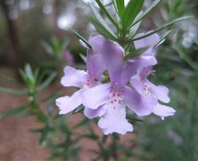 Booderee National Park Botanic Gardens - Accommodation Sunshine Coast 5