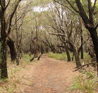 Pretty Beach to Snapper Point walking track - Accommodation Sunshine Coast