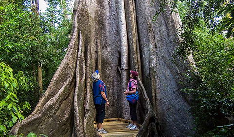 Wingham Brush Nature Reserve - Accommodation Sunshine Coast 1