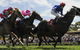 Moruya Racecourse - thumb 0