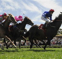 Moruya Racecourse - Accommodation Sunshine Coast