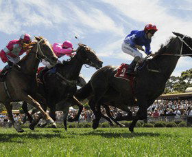 Moruya Racecourse - Accommodation Sunshine Coast 0