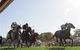 Moruya Racecourse - thumb 1