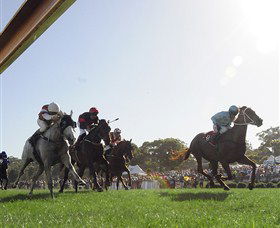 Moruya Racecourse - Accommodation Sunshine Coast 1