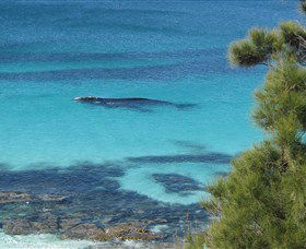 Jervis Bay Marine Park - Accommodation Sunshine Coast 0