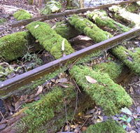 Wootton Historical Railway Walk - Accommodation Sunshine Coast