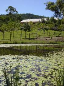 Mount Nathan Winery - Accommodation Sunshine Coast 2
