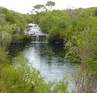Booderee National Park Green Patch and Telegraph Creek Walking Tracks - Accommodation Sunshine Coast