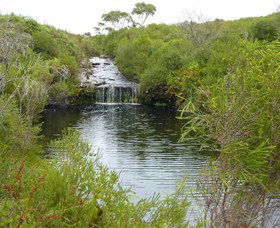 Booderee National Park: Green Patch And Telegraph Creek Walking Tracks - Accommodation Sunshine Coast 0