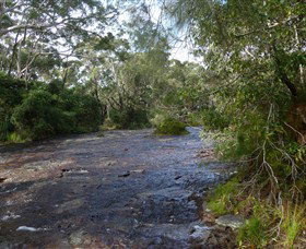 Booderee National Park: Green Patch And Telegraph Creek Walking Tracks - Accommodation Sunshine Coast 2