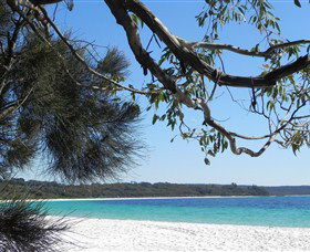 Booderee National Park: Green Patch And Telegraph Creek Walking Tracks - Accommodation Sunshine Coast 6