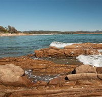 Shelly Beach Picnic Area - Moruya Heads - Accommodation Sunshine Coast