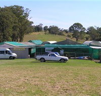 Tinonee Orchid Nursery - Accommodation Sunshine Coast