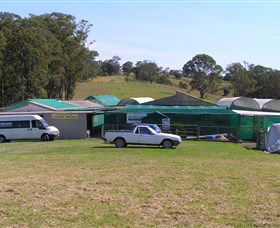 Tinonee Orchid Nursery - Accommodation Sunshine Coast 0