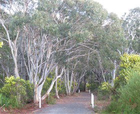Booderee National Park: Munyunga Waraga Dhugan Walking Trail - Accommodation Sunshine Coast 3