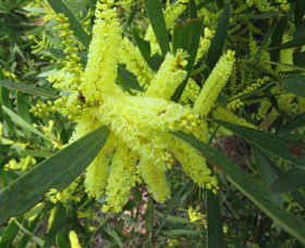 Booderee National Park: Munyunga Waraga Dhugan Walking Trail - Accommodation Sunshine Coast 1