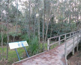Booderee National Park: Munyunga Waraga Dhugan Walking Trail - Accommodation Sunshine Coast 8