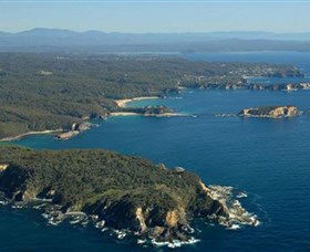 Banksia Walk - Burrewarra Point - Accommodation Sunshine Coast 0