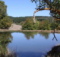 Oak Grove Walk Balingup - Accommodation Sunshine Coast