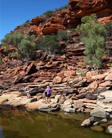 Inland Gorges - Accommodation Sunshine Coast 2