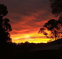 Tinonee Museum - Accommodation Sunshine Coast