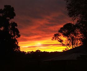 Tinonee Museum - Accommodation Sunshine Coast 0