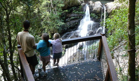 Bangalore Falls Walking Track - Accommodation Sunshine Coast 1