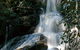 Bangalore Falls Walking Track - thumb 3