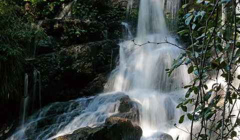 Bangalore Falls Walking Track - Accommodation Sunshine Coast 3